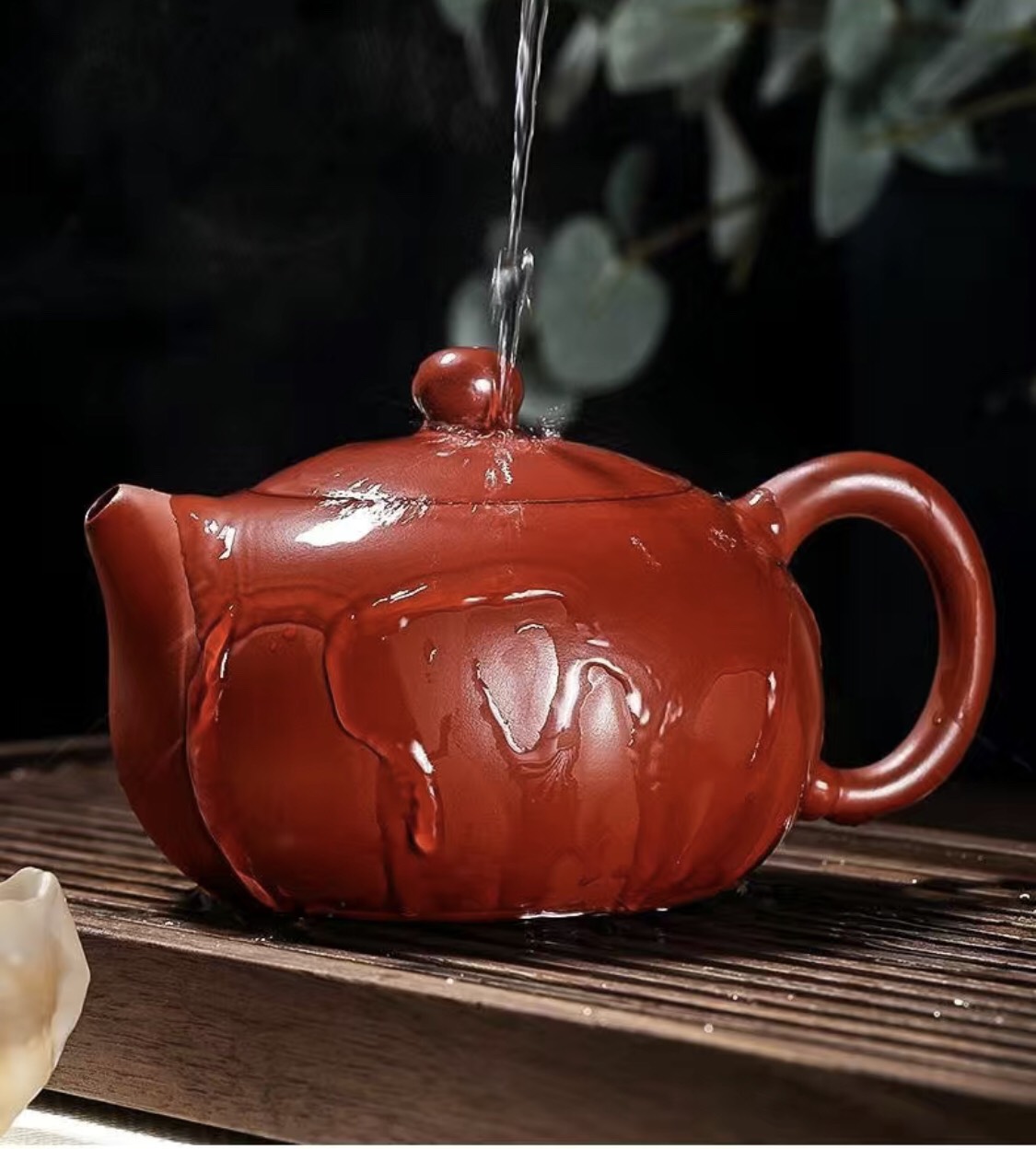 bo-tra-cong-phu-tu-sa-tay-thi-2