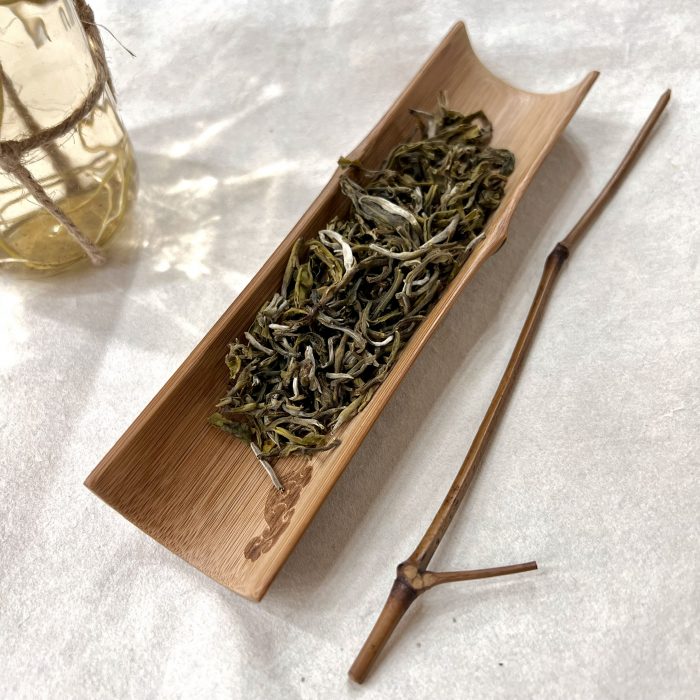 tra-shan-tuyet-co-thu-ta-xua-son-la-2