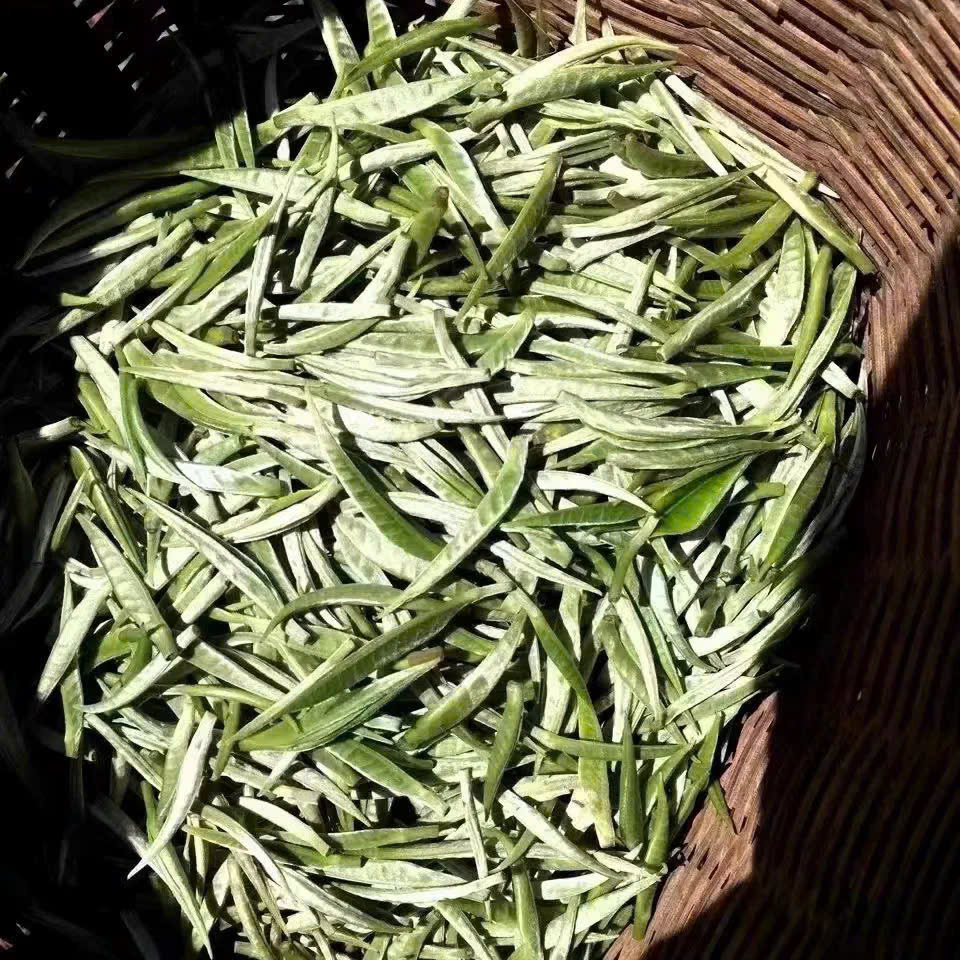 tra-shan-tuyet-co-thu-22