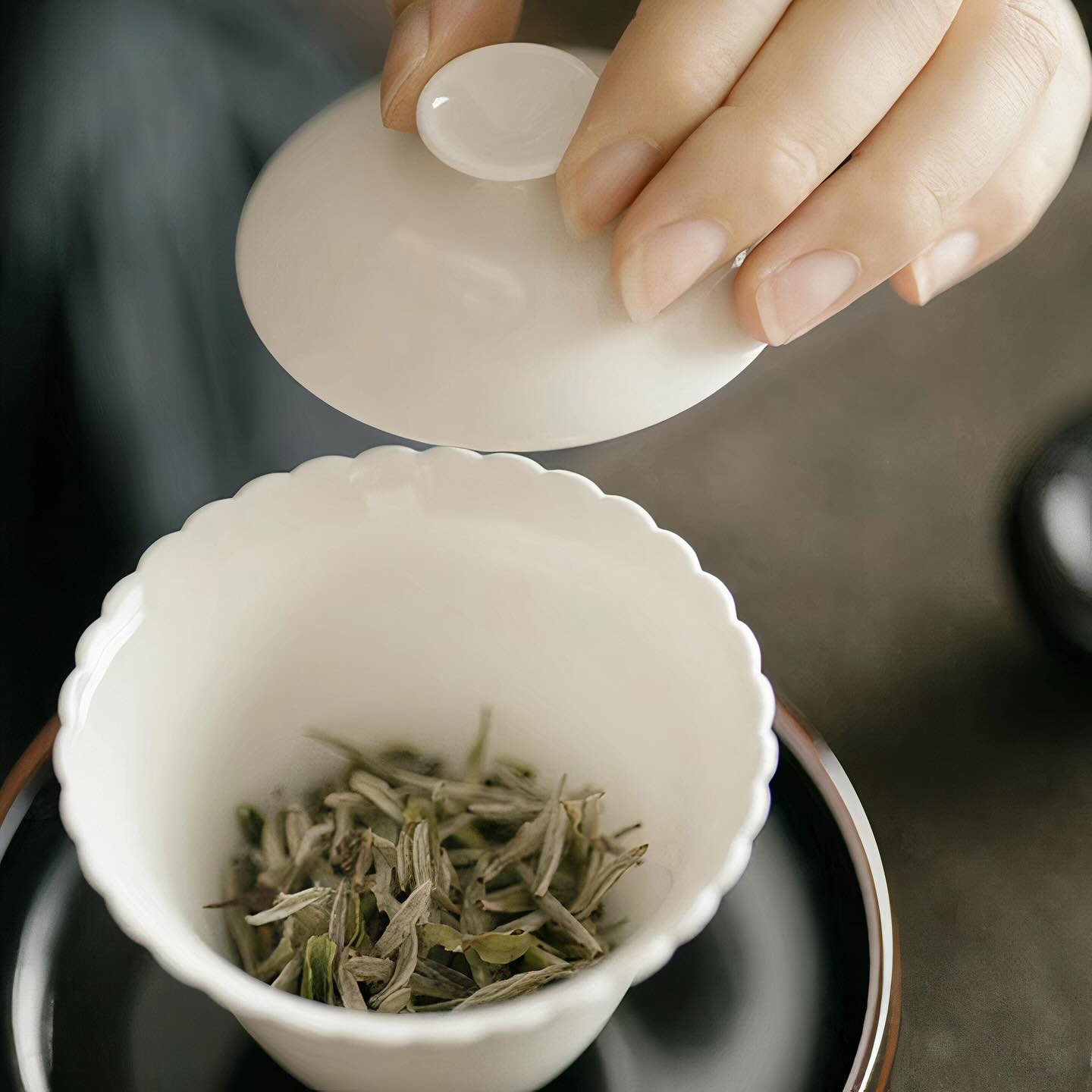 bach-hao-ngan-cham-7