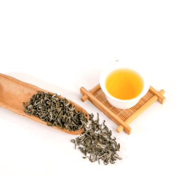 Lục Trà Shan Tuyết Cổ Thụ - Suối Giàng (Yên Bái)