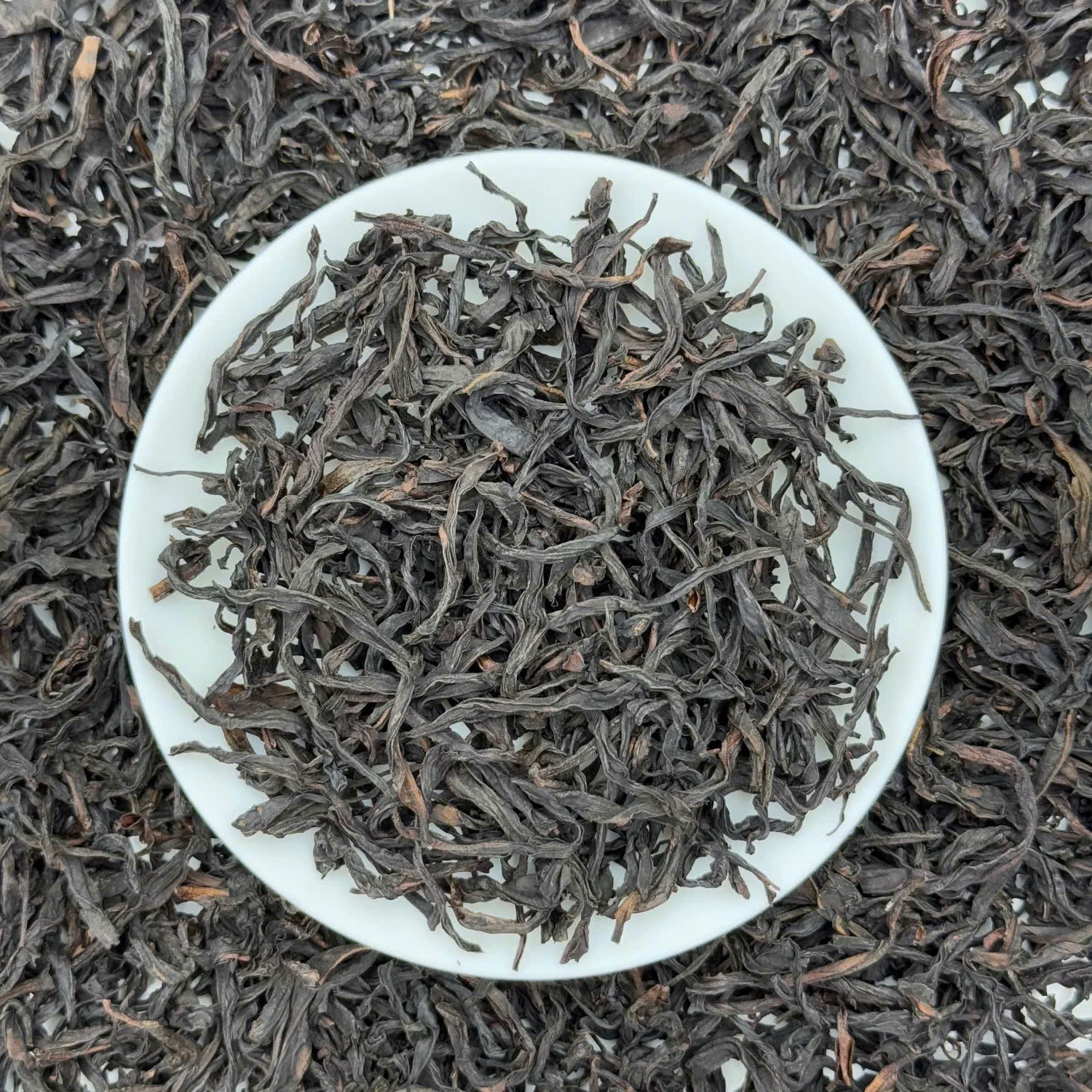 tra-phuong-hoang-don-tung-10