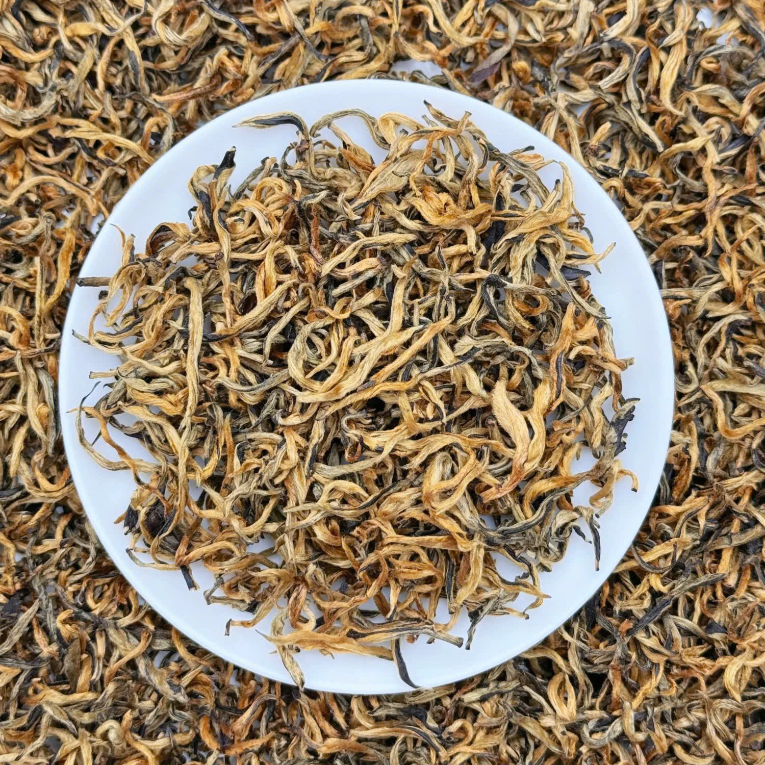 tra-dien-hong-tung-cham-1