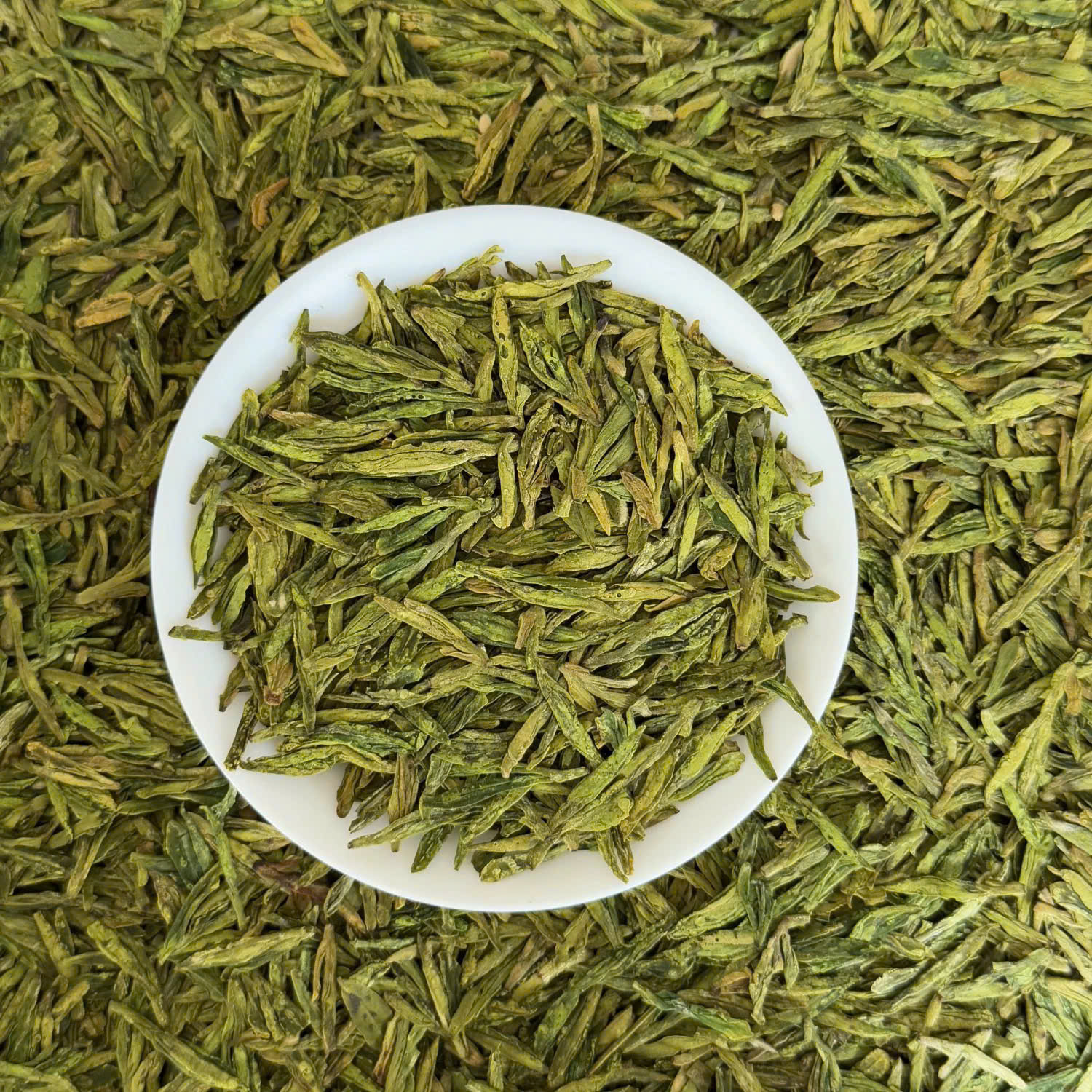 tra-su-phong-long-tinh-1