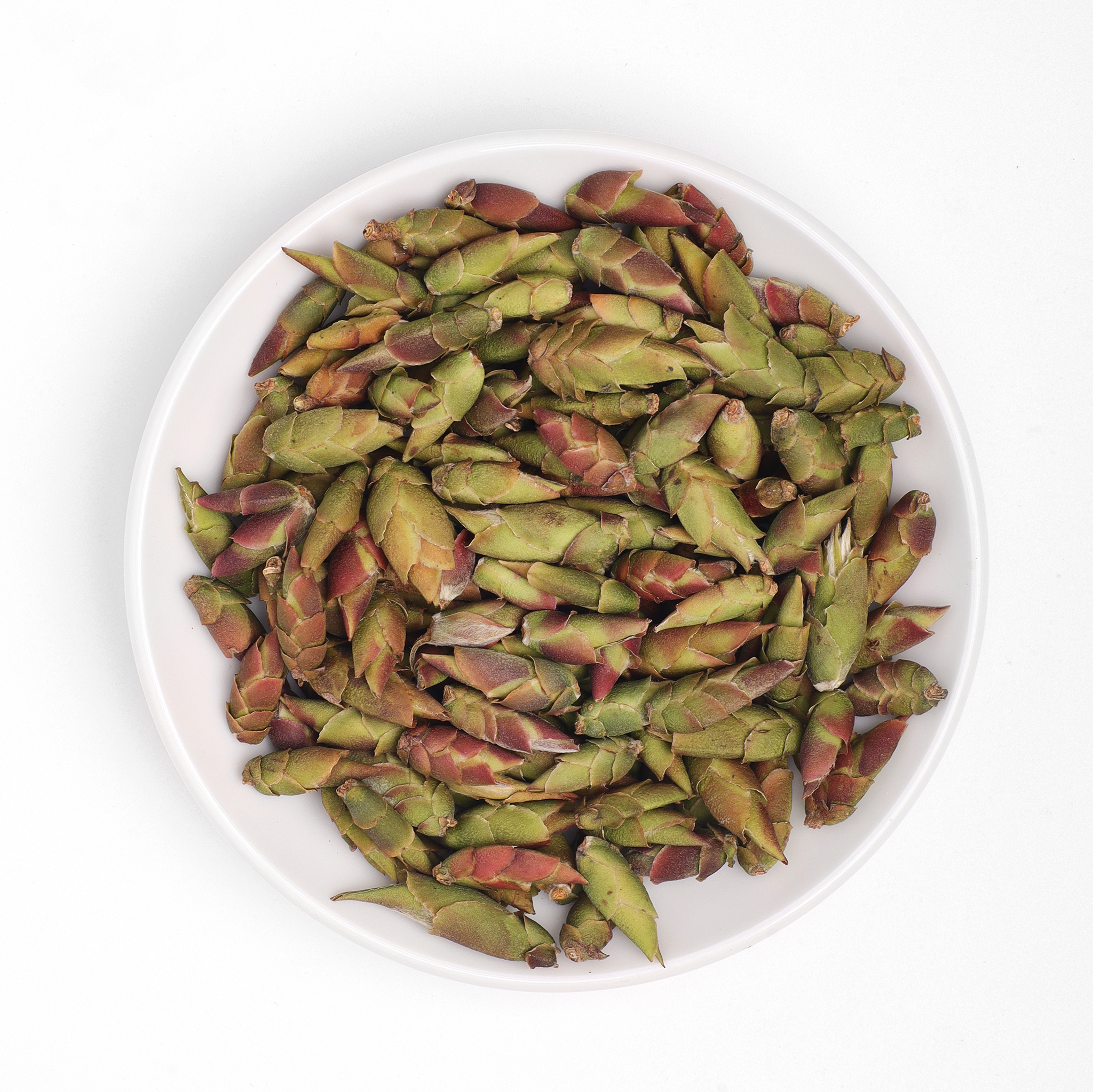 Trà Móng Rồng – Tây Côn Lĩnh (Hà Giang)